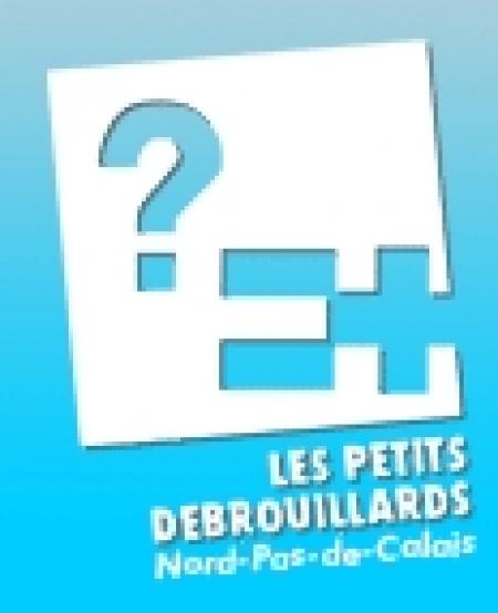 Petits Débrouillards (Les)